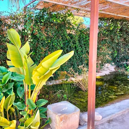 Casa Estanque Compartida Piscina Y Jardin 7 Pax Holiday home