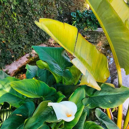 Casa Estanque Compartida Piscina Y Jardin 7 Pax